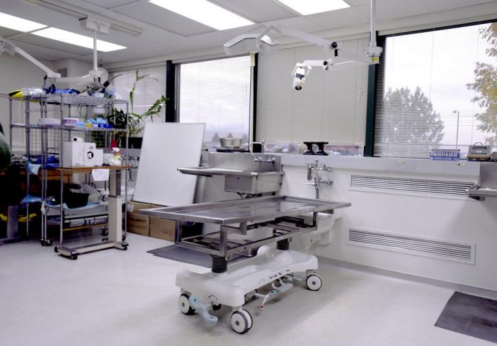 Image for Autopsy Services with ID of: 3337878