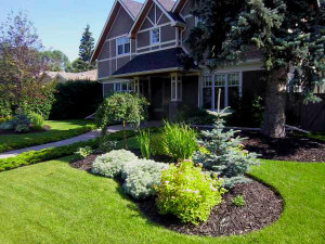 Image for Landscape Supply Canada with ID of: 3337972