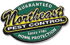 Image for Northeast Pest Control with ID of: 3339583