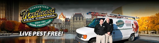 Image for Northeast Pest Control with ID of: 3339589