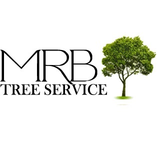 Image for MRB Tree Service with ID of: 3340218