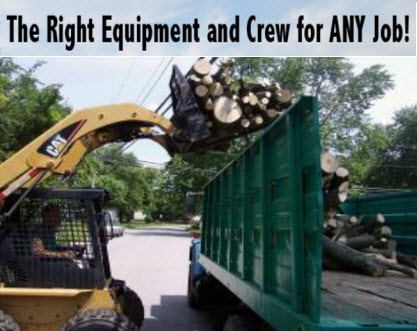 Image for MRB Tree Service with ID of: 3340224