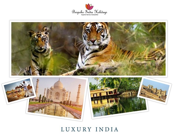 Image for Luxury India Trip with ID of: 3341318