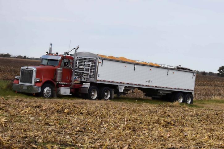 Image for DBL B Trucking, LLC with ID of: 3341412