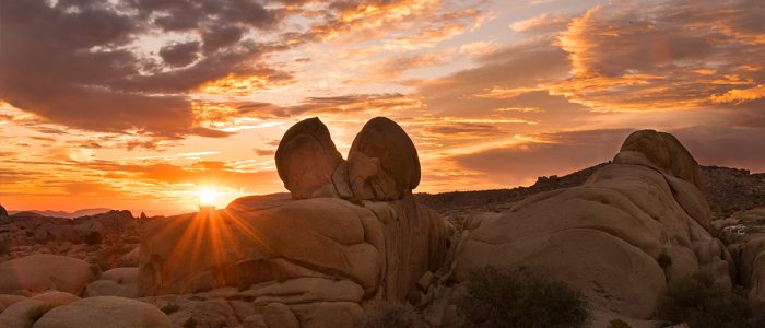 Image for Visit 29 Palms with ID of: 3341722