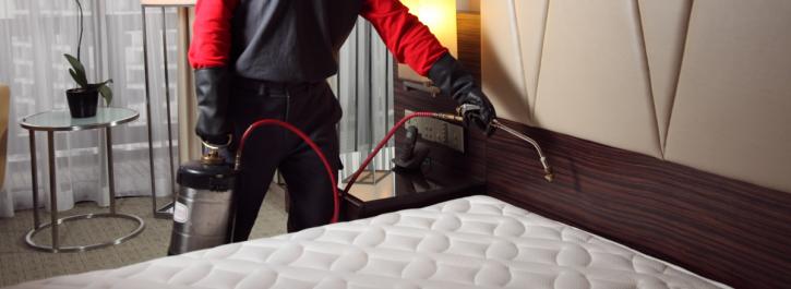 Image for Bed Bug Exterminator Hamilton with ID of: 3342315
