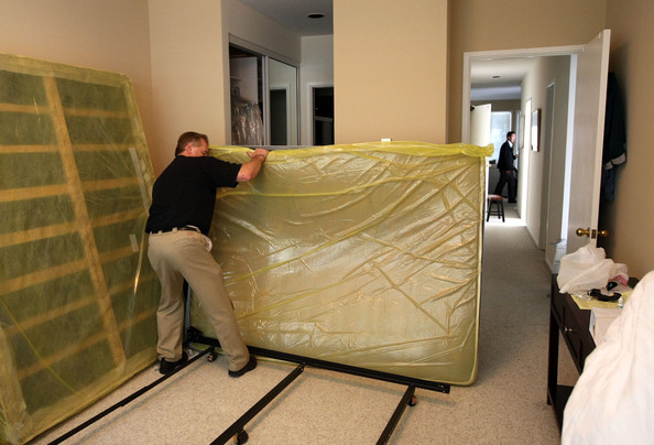Image for Bed Bug Exterminator Hamilton with ID of: 3342323