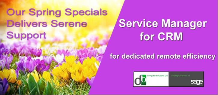 Image for Service Manager for CRM from DB Computer Solutions with ID of: 3342771