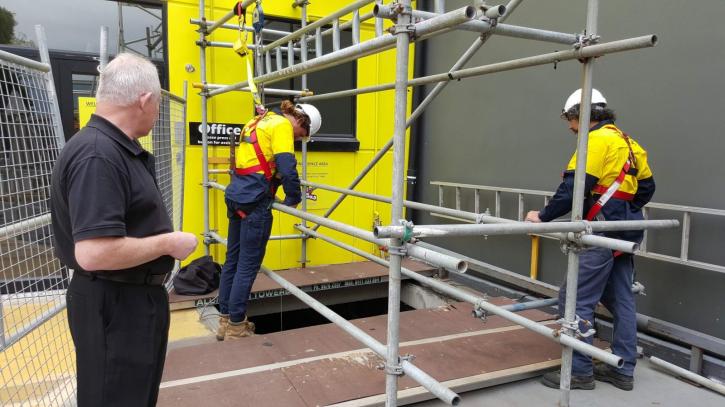 Image for Mr. Scaffold with ID of: 3342991