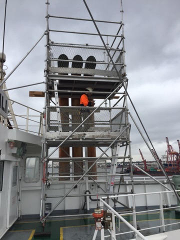 Image for Mr. Scaffold with ID of: 3343005