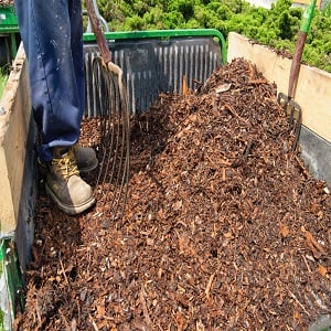 Image for Prime Pine Farm with ID of: 3343698