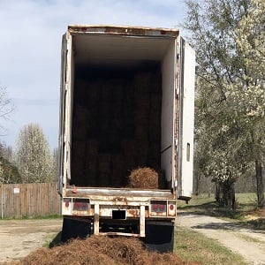 Image for Prime Pine Farm with ID of: 3343699