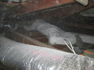 Image for Hassler Heating and Air Conditioning, Inc. with ID of: 3344499