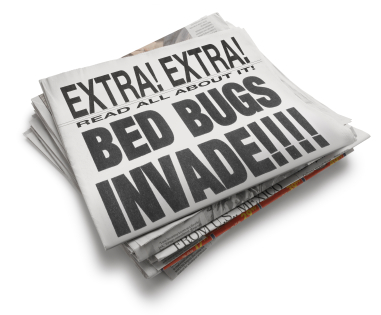 Image for Bed Bug Exterminator Mississauga with ID of: 3345673