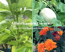 Image for Allie’s Garden Corner with ID of: 3346574