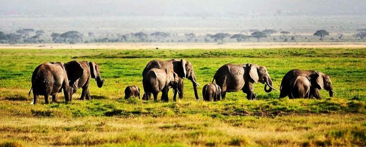 Image for Nairobi Day Tour Excursions with ID of: 3346761