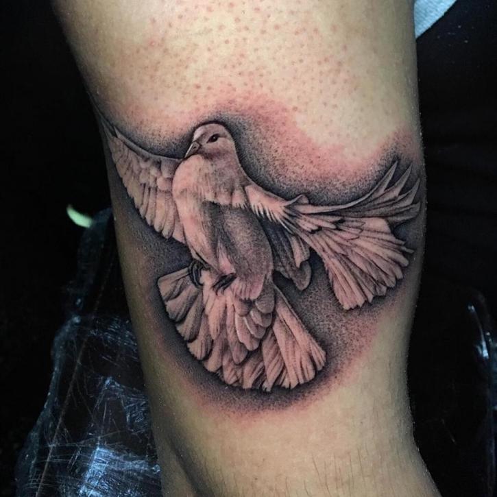 Image for Franklins Tattoo and Supply with ID of: 3346970