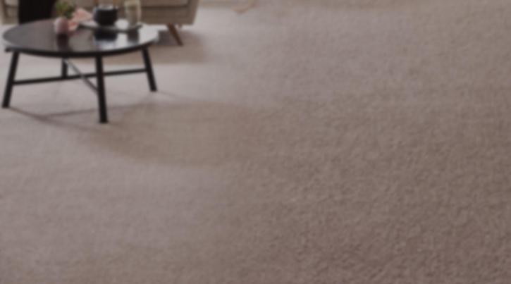 Image for Oriental & Area Rug Cleaners with ID of: 3348887