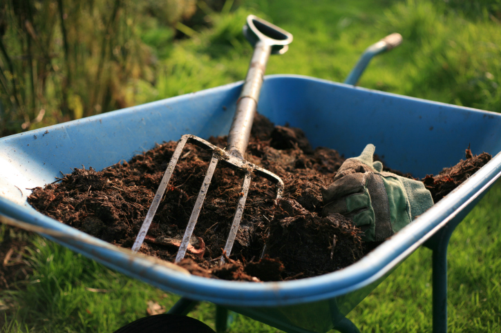 Image for Murphy's Lawn Service with ID of: 3351648