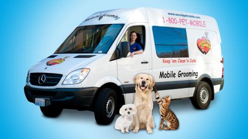 Image for Aussie Pet Mobile Hollywood with ID of: 3353124
