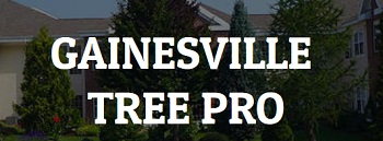 Image for Gainesville Tree Pro with ID of: 3353621