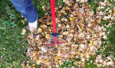 Image for NDIS Cleaning in Melbourne | HOME HELP AUSTRALIA with ID of: 3353887