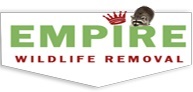 Image for Yorkregion wildlife removal with ID of: 3355870