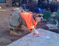 Image for Conroe Paving Pros with ID of: 3356324