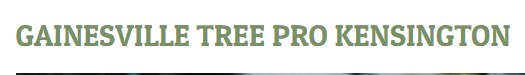 Image for Gainesville Tree Pro Kensington with ID of: 3356430