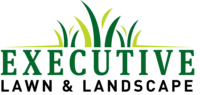 Image for Executive Lawn and Landscape with ID of: 3356940