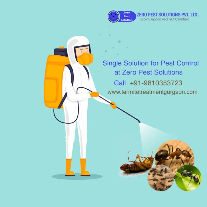 Image for Affordable Pest Control Gurgaon Services with ID of: 3356961