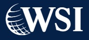 Image for WSI Online Solutions with ID of: 3357108