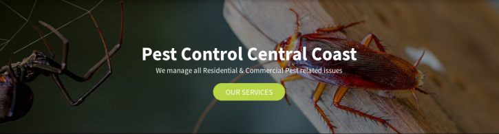 Image for United Pest Management with ID of: 3358304