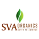 Image for Pure Essential Oils Supplier in India with ID of: 3362159