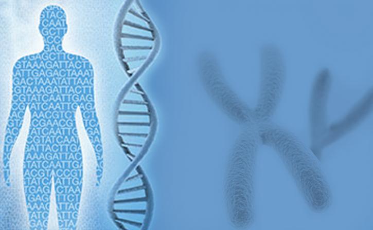 Image for Next Generation Sequencing Market - Size, Share, and Forecast 2025 with ID of: 3362678