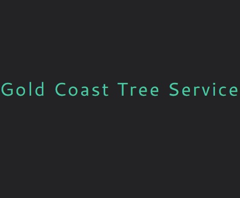 Image for Gold Coast Tree Service with ID of: 3362702