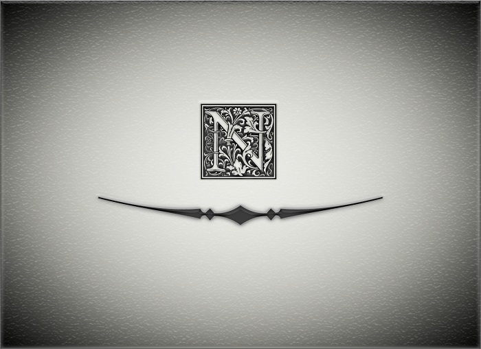 Image for N Products LLC with ID of: 3363978