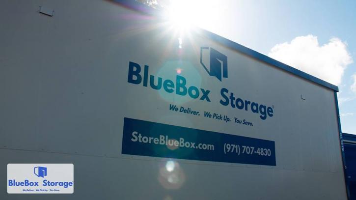 Image for BlueBox Storage with ID of: 3364162