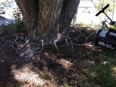 Image for Great Western Tree Care with ID of: 3364344