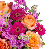 Image for Community Florist with ID of: 3364677