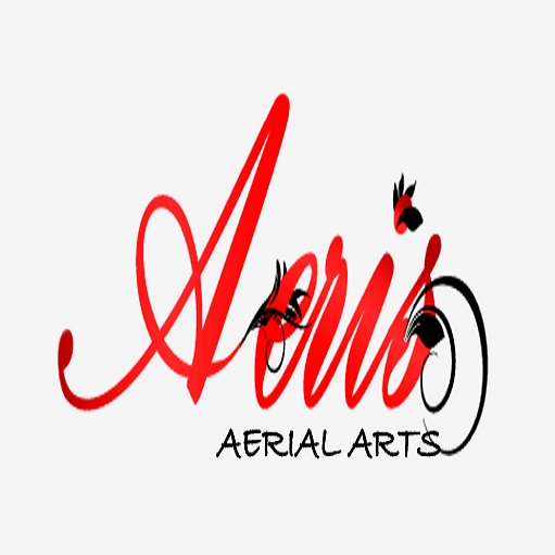 Image for Aeris Aerial Arts with ID of: 3365820