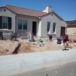 Image for Phoenix Turf Experts with ID of: 3366349