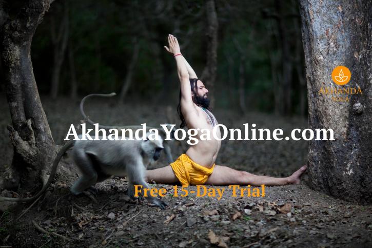 Image for Akhanda Yoga with ID of: 3367443