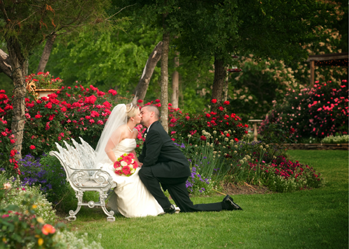 Image for Wedding Venue with ID of: 3368099
