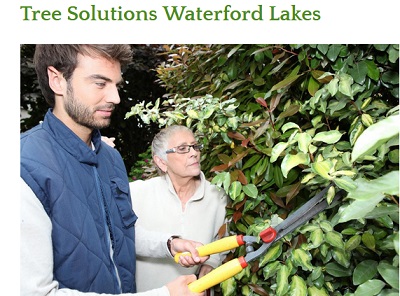 Image for Tree Solutions Waterford Lakes with ID of: 3368429