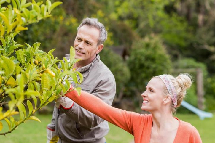 Image for Tree Solutions Waterford Lakes with ID of: 3368432