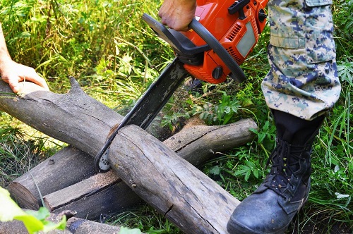 Image for Tree Solutions Lake Mary with ID of: 3368541