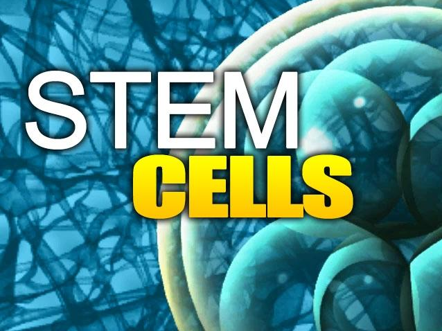Image for Adipose Derived Stem Cell Therapy Market Expected Industry Offer, Improvement Stages To 2026 with ID of: 3368975
