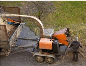 Image for Anaheim Tree Care with ID of: 3369162