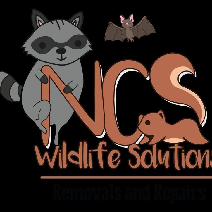 Image for NCS Wildlife Solutions with ID of: 3371127